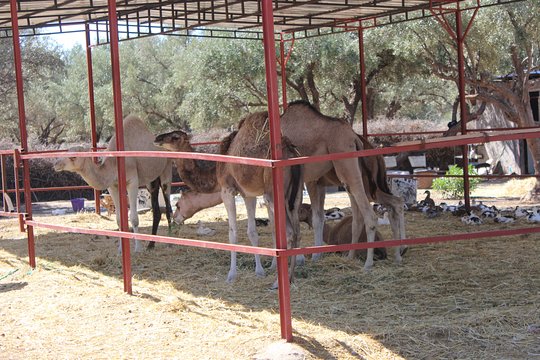 Tour image 3
