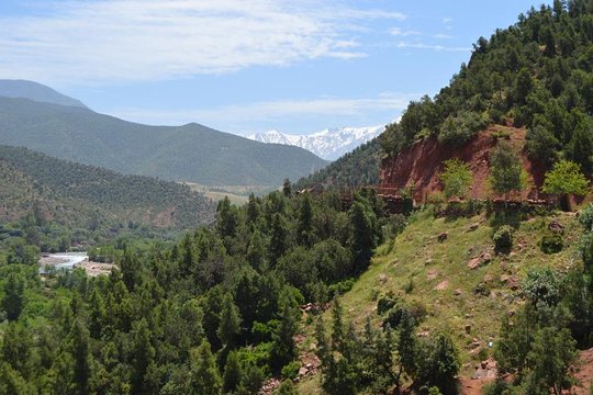 Tour image 10