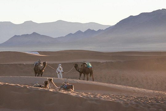 Tour image 2