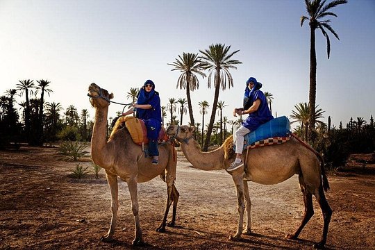 Tour image 9