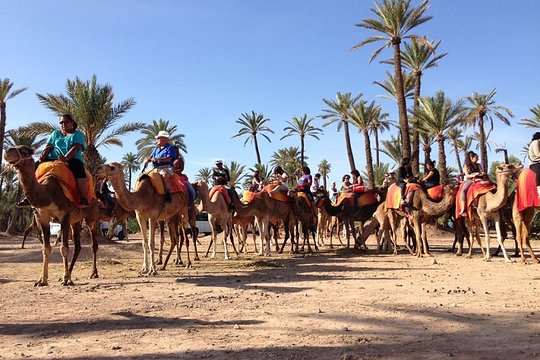 Tour image 5