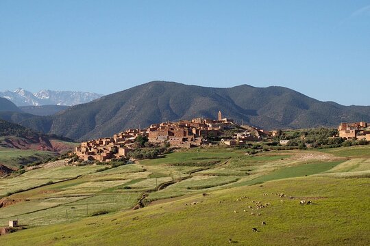 Tour image 7