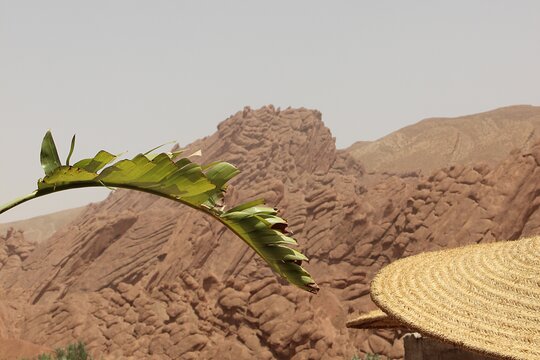 Tour image 4