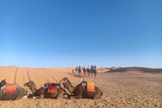 Tour image 10