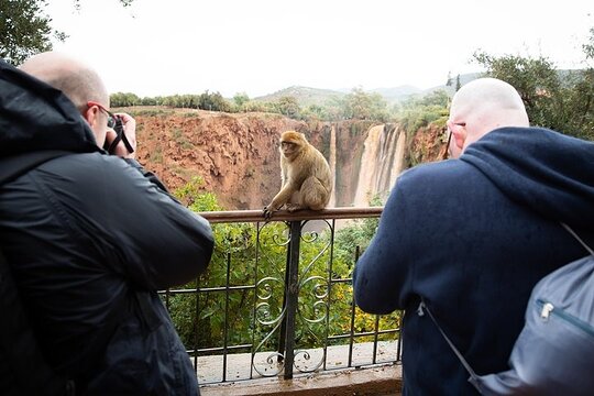 Tour image 4
