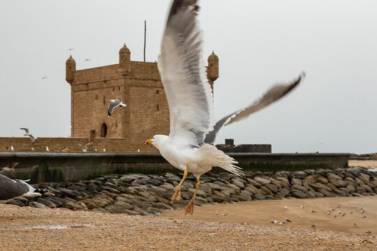 Tour image 5